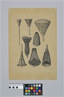 藏品(陳奇祿手稿-臺灣原住民和印度尼西亞區的圓錐形竹器)的圖片